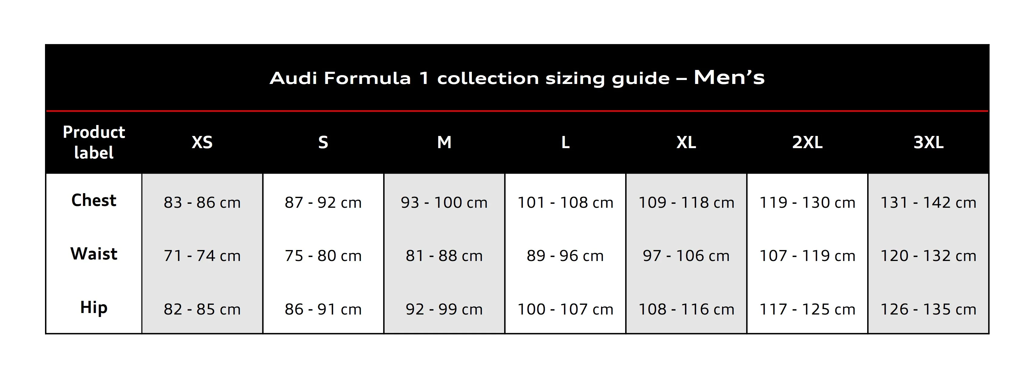 Audi Formula 1 Fan graphic T-Shirt, men's - Image 7